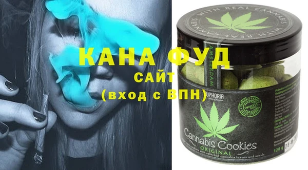 молекула духа Надым
