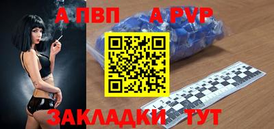 шишки Кандалакша