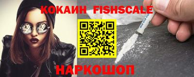 шишки Кандалакша