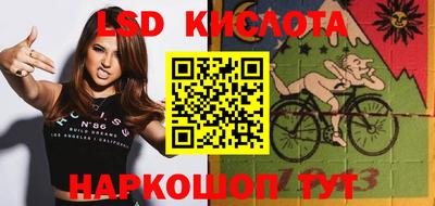 бошки Камышлов