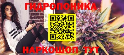 jwh Канаш