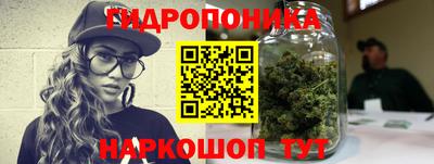 шишки Кандалакша