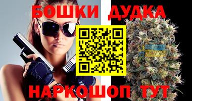 шишки Кандалакша