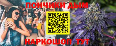 шишки Кандалакша