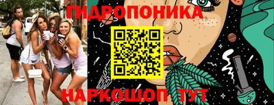 бошки Камышлов