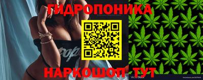 jwh Канаш