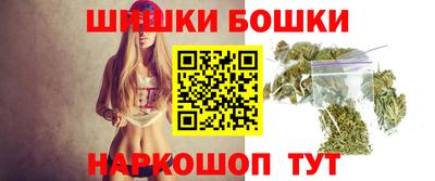 шишки Кандалакша