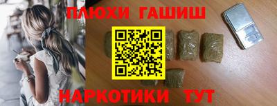 шишки Кандалакша
