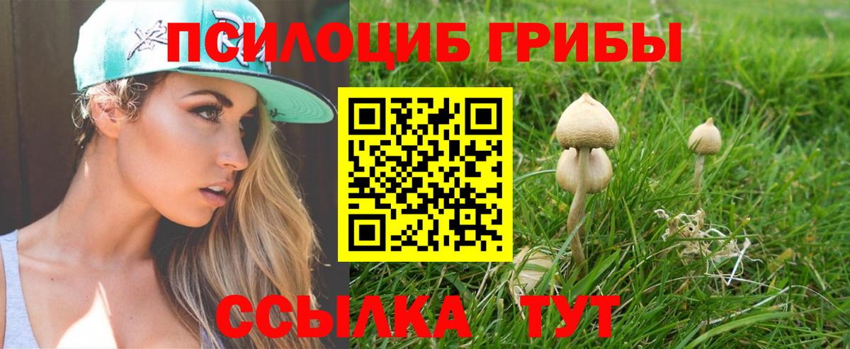 Псилоцибиновые грибы MAGIC MUSHROOMS  Вход с VPN  Галлюциногенные грибы прущие грибы  Переславль-Залесский 